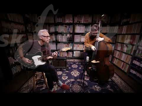 USA – Bil Frisell & Thomas Morgan !!!