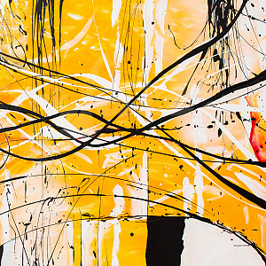 CD Ville Herrala - Pu: