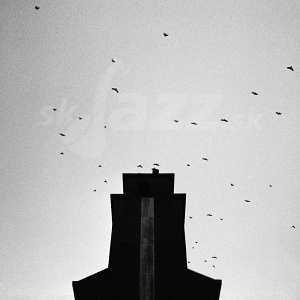 LP Dimitri Howald - Amnis Alsace