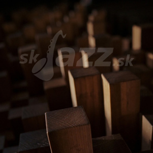 CD Darkness Positive – We Grew