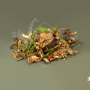 CD Fergus McCreadie Trio - Forest Floor