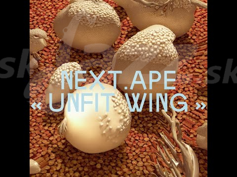 Belgicko - Next.Ape !!!