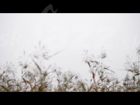 Fínsko - Tuomas Paukku Scription !!!