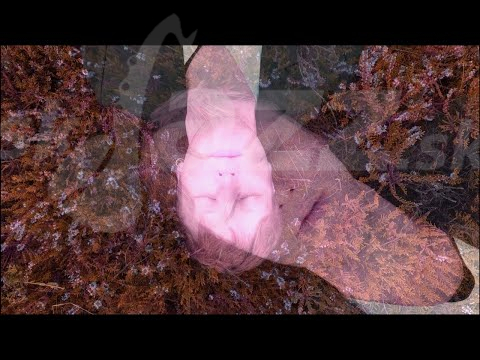 Nemecko - Simon Below Quartet !!!