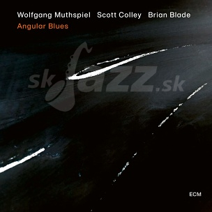 CD Wolfgang Muthspiel – Angular Blues