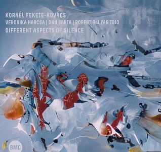 CD Kornél Fekete-Kovács – Different Aspects of Silence