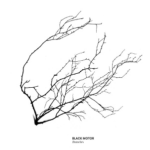 CD Black Motor – Branches