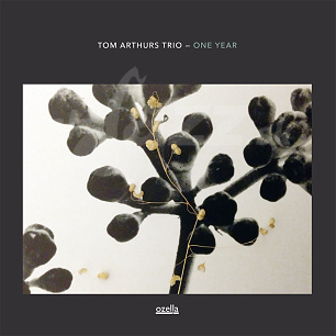 CD Tom Arthurs Trio – One Year