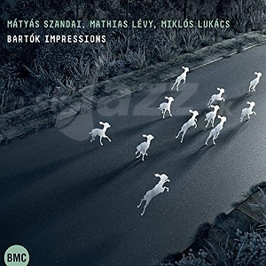 CD Szandai Mátyás, Mathias Lévy, Lukács Miklós – Bartók Impressions